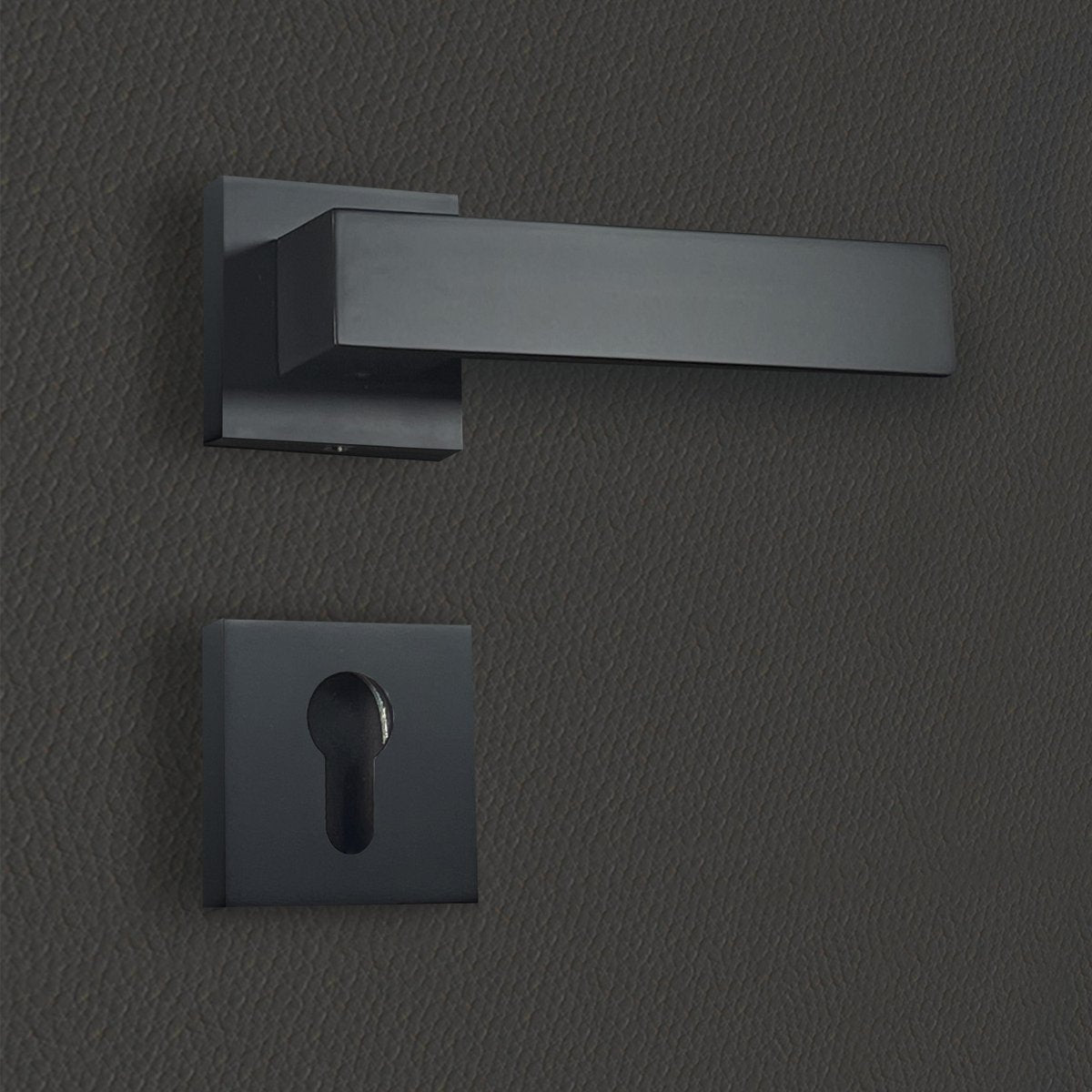 Poignée de porte Paola