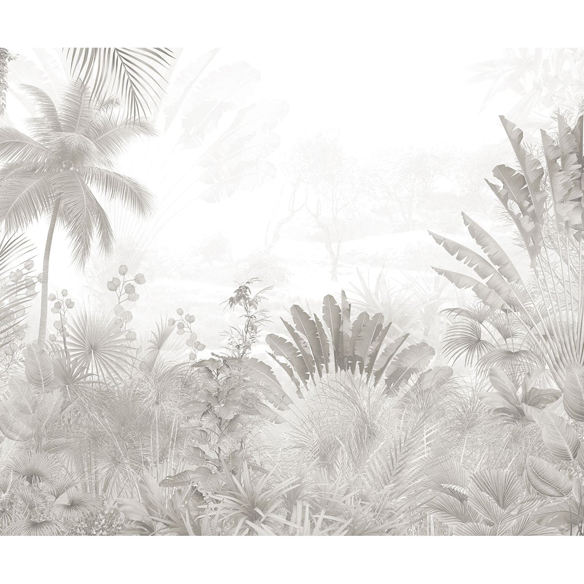 Papier peint panoramique - Plantes tropicales
