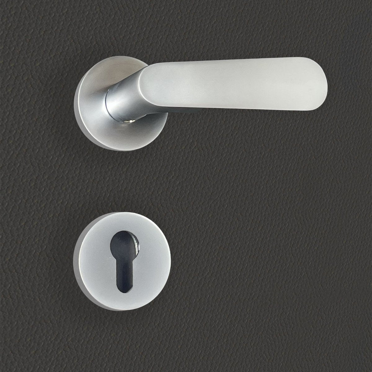 Poignée de porte Regina
