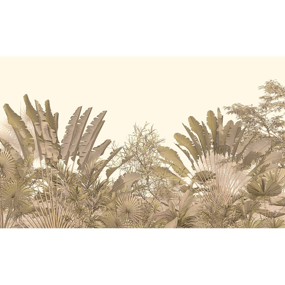 Papier peint panoramique - Plantes Tropicales