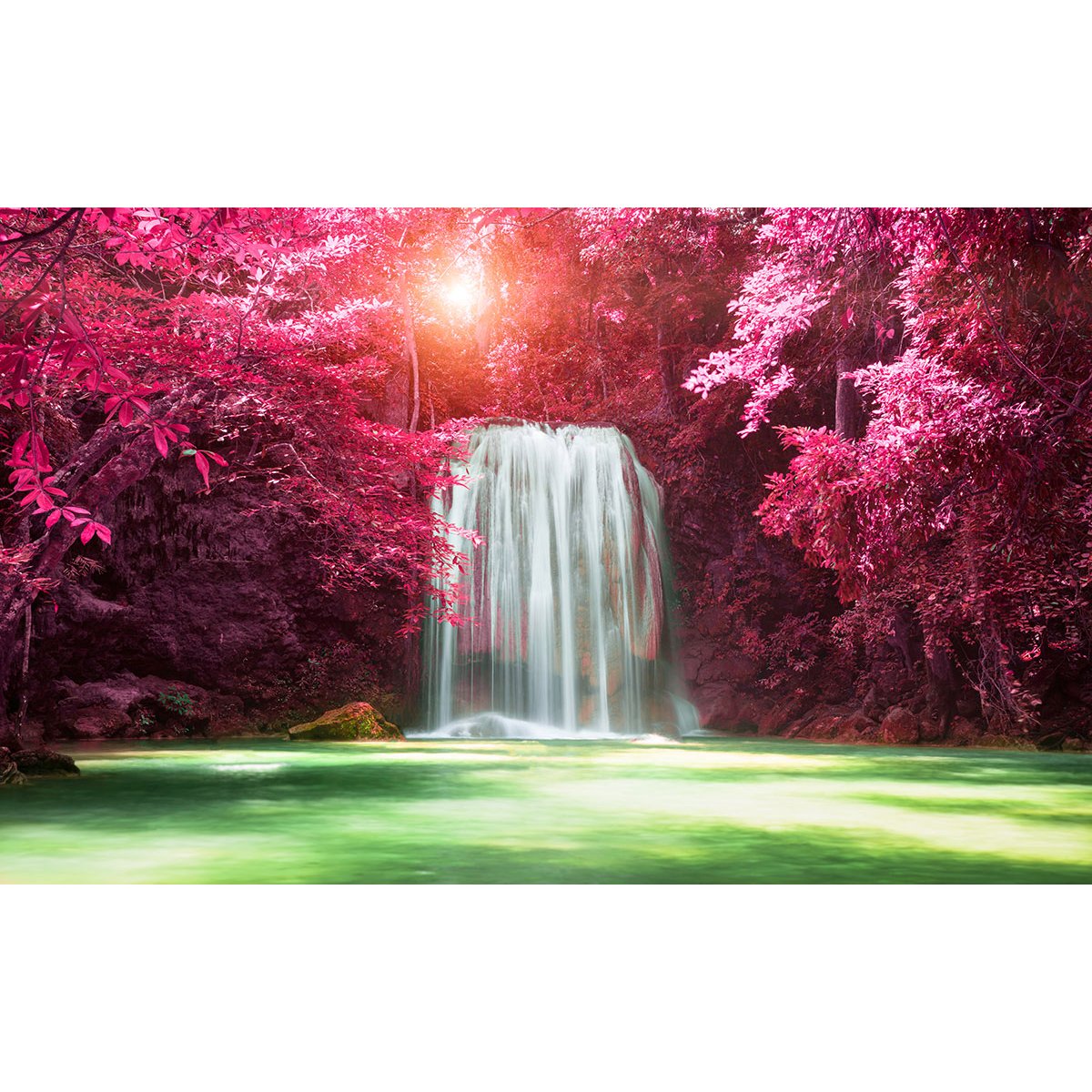 Papier peint panoramique - Cascade Feuilles roses