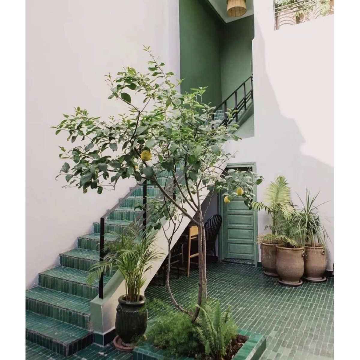 Carrelage Véritable Bejmat Marocain Vert Émeraude (0,89m²)