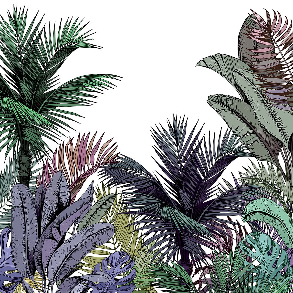 Papier peint panoramique - Forêt tropicale