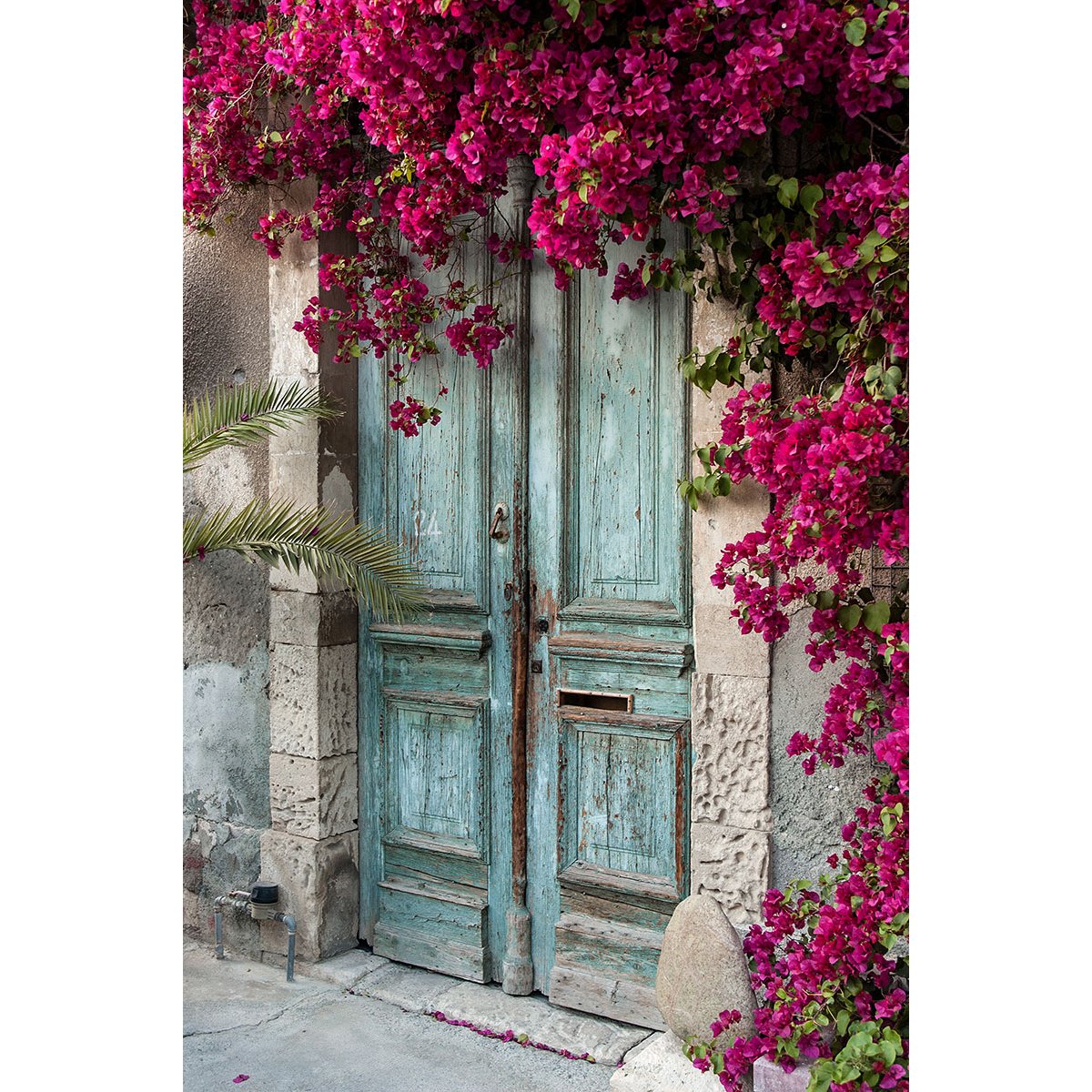 Papier peint panoramique - Porte Fleurs