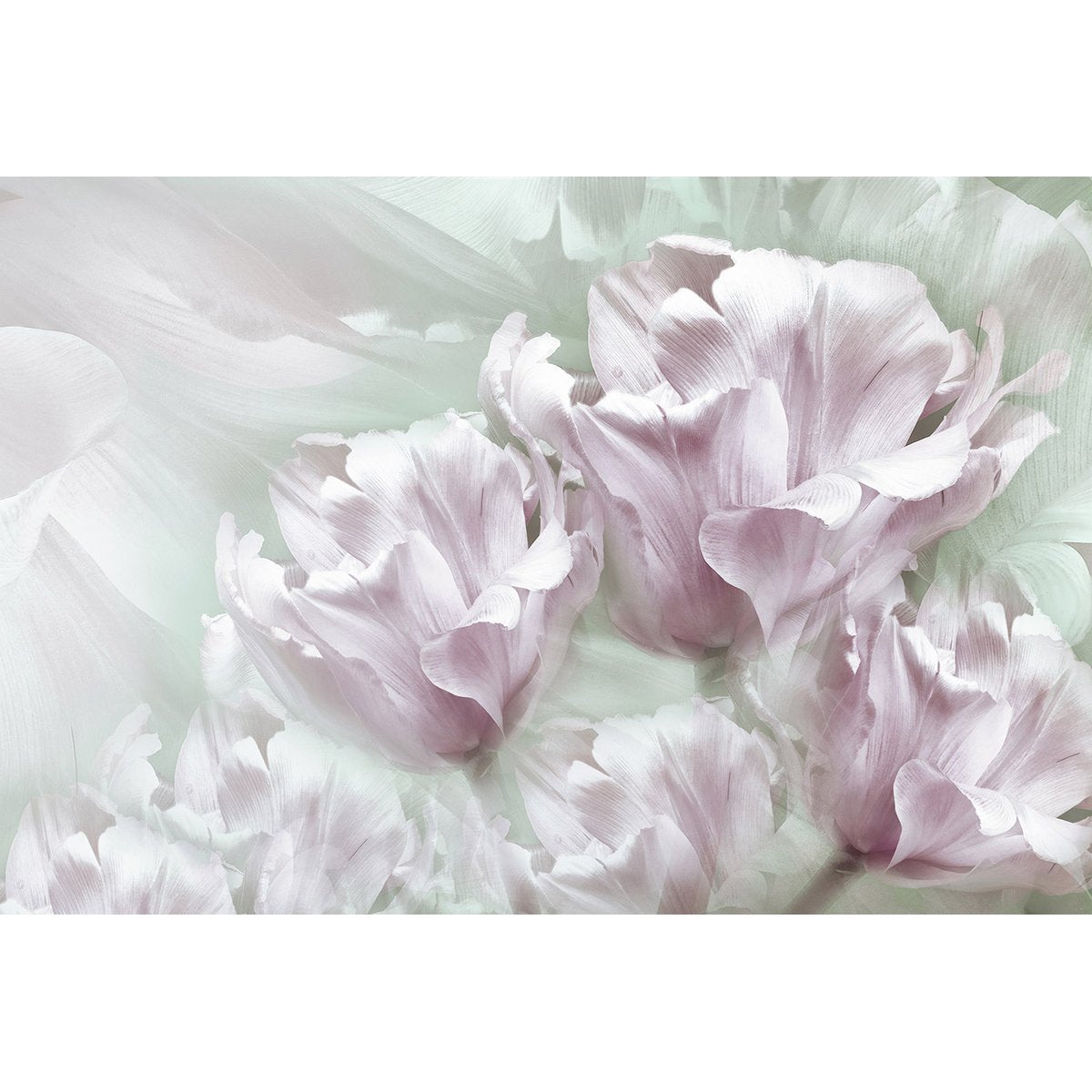 Papier peint panoramique - Fleurs